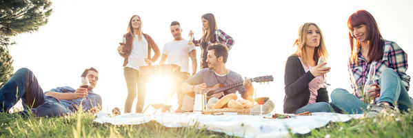 Wiener Singles picknicken gemeinsam im Sommer