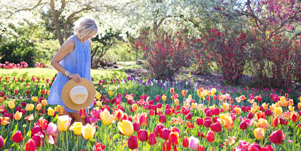 Single Frau in Wien im Frühling