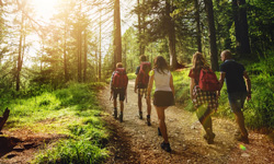 Nordic Walking am Sonntag - Diesmal im Pasinger Stadtpark 
